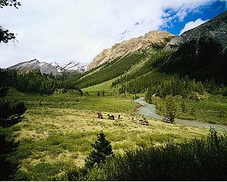 《使命召唤：战区》玩家发现Steam版性能不如战网版