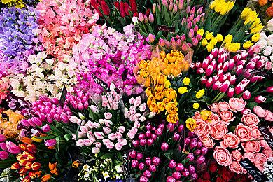 GitHub报告：92%的美国程序员正在使用AI工具